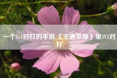 一个1v1对打的手游,《王者荣耀》里1V1对打