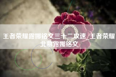 王者荣耀露娜铭文三十二攻速_王者荣耀北慕露娜铭文