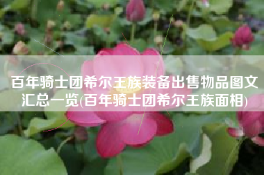 百年骑士团希尔王族装备出售物品图文汇总一览(百年骑士团希尔王族面相)