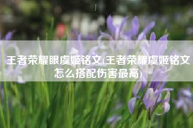 王者荣耀眼虞姬铭文(王者荣耀虞姬铭文怎么搭配伤害最高)