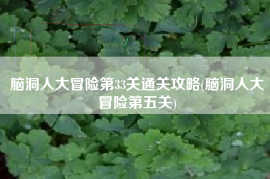 脑洞人大冒险第33关通关攻略(脑洞人大冒险第五关)