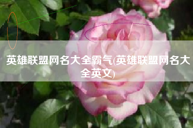 英雄联盟网名大全霸气(英雄联盟网名大全英文)