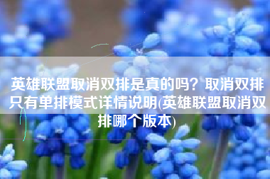 英雄联盟取消双排是真的吗？取消双排只有单排模式详情说明(英雄联盟取消双排哪个版本)