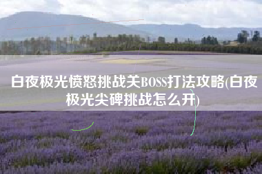 白夜极光愤怒挑战关BOSS打法攻略(白夜极光尖碑挑战怎么开)
