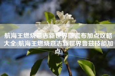 航海王燃烧意志新世界撒谎布加点攻略大全(航海王燃烧意志新世界鲁兹技能加点)