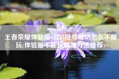 王者荣耀体验服4月25抢号成功怎么不能玩(体验服不能玩解决办法推荐)