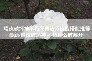 暗夜破坏神不朽死灵法师技能搭配推荐最新(暗夜破坏神 不朽什么时候开)