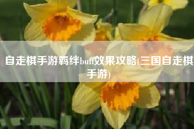 自走棋手游羁绊buff效果攻略(三国自走棋手游)