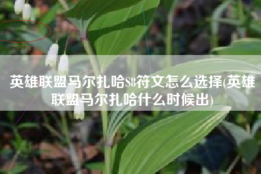 英雄联盟马尔扎哈S8符文怎么选择(英雄联盟马尔扎哈什么时候出)