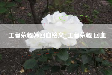王者荣耀韩回血铭文_王者荣耀 回血