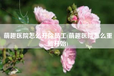 萌趣医院怎么开除员工(萌趣医院怎么重新开始)