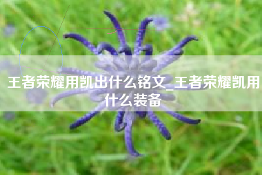 王者荣耀用凯出什么铭文_王者荣耀凯用什么装备