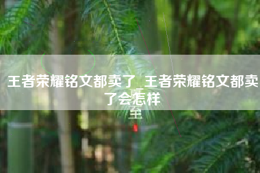 王者荣耀铭文都卖了_王者荣耀铭文都卖了会怎样