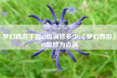 梦幻西游手游69级满修多少,《梦幻西游》69级修为点满