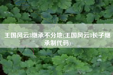 王国风云3继承不分地(王国风云3长子继承制代码)