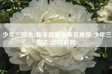 少年三国志2新手攻略与阵容推荐(少年三国志2游戏官网) 少年三国志2新手攻略与阵容推荐(少年三国志2游戏官网)