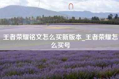 王者荣耀铭文怎么买新版本_王者荣耀怎么买号