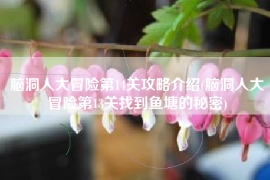 脑洞人大冒险第14关攻略介绍(脑洞人大冒险第13关找到鱼塘的秘密)