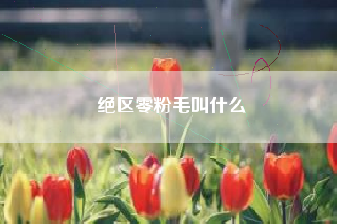 绝区零粉毛叫什么