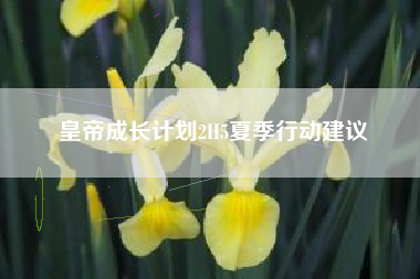 皇帝成长计划2H5夏季行动建议