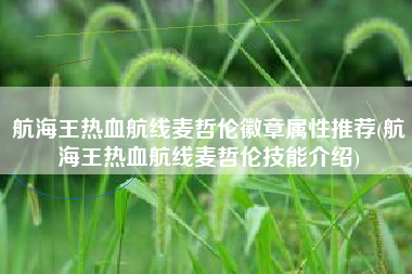 航海王热血航线麦哲伦徽章属性推荐(航海王热血航线麦哲伦技能介绍)