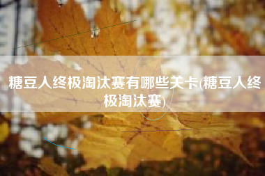 糖豆人终极淘汰赛有哪些关卡(糖豆人终极淘汰赛)