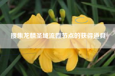 搜集龙麟圣域流霞节点的获得道具