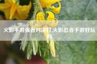 火影手游强者对决打,火影忍者手游好玩吗