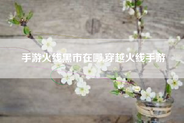手游火线黑市在哪,穿越火线手游