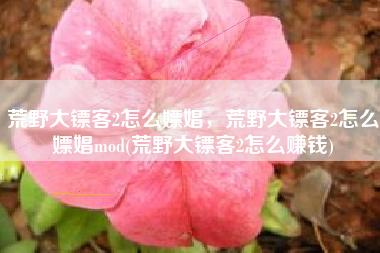 荒野大镖客2怎么嫖娼，荒野大镖客2怎么嫖娼mod(荒野大镖客2怎么赚钱)