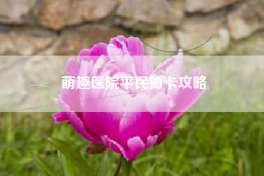 萌趣医院平民抽卡攻略