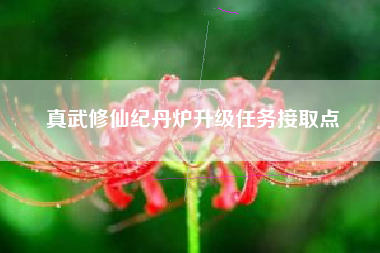 真武修仙纪丹炉升级任务接取点