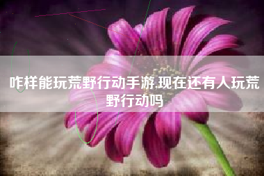 咋样能玩荒野行动手游,现在还有人玩荒野行动吗