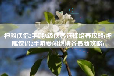 神雕侠侣2手游A级侠客选择培养攻略(神雕侠侣2手游爱闯绝情谷最新攻略)