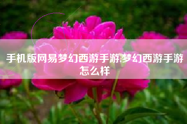 手机版网易梦幻西游手游,梦幻西游手游怎么样
