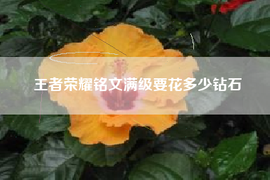 王者荣耀铭文满级要花多少钻石