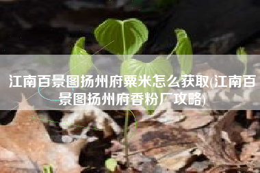 江南百景图扬州府粟米怎么获取(江南百景图扬州府香粉厂攻略)