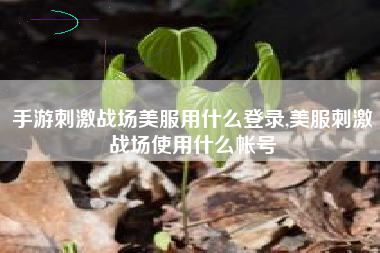 手游刺激战场美服用什么登录,美服刺激战场使用什么帐号
