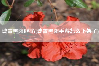瑰雪黑阳RWBY(瑰雪黑阳手游怎么下架了)