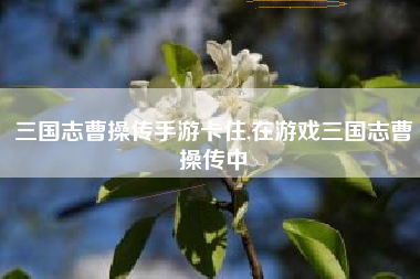三国志曹操传手游卡住,在游戏三国志曹操传中