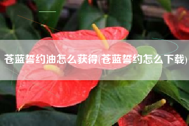 苍蓝誓约油怎么获得(苍蓝誓约怎么下载)