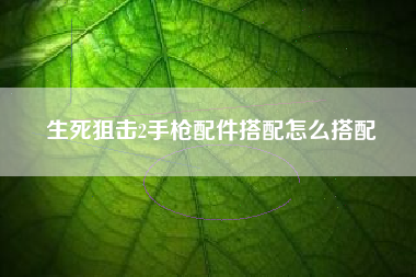 生死狙击2手枪配件搭配怎么搭配