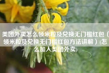 美团外卖怎么领米粒及兑换无门槛红包（领米粒及兑换无门槛红包方法讲解）(怎么加入美团外卖)