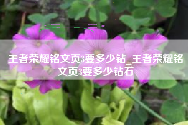 王者荣耀铭文页3要多少钻_王者荣耀铭文页3要多少钻石
