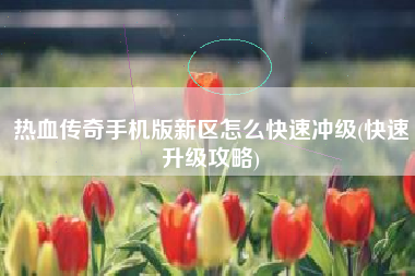 热血传奇手机版新区怎么快速冲级(快速升级攻略)