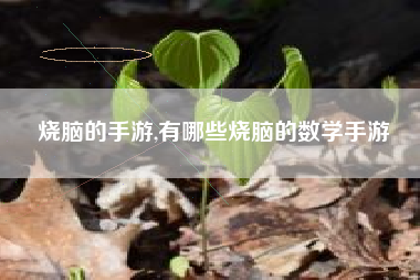 烧脑的手游,有哪些烧脑的数学手游