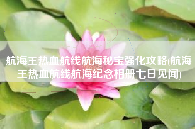 航海王热血航线航海秘宝强化攻略(航海王热血航线航海纪念相册七日见闻)