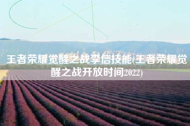 王者荣耀觉醒之战李信技能(王者荣耀觉醒之战开放时间2022)