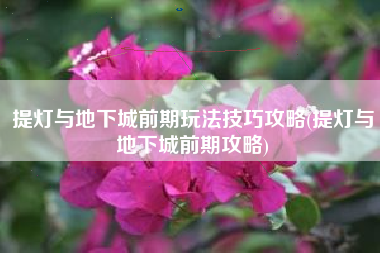 提灯与地下城前期玩法技巧攻略(提灯与地下城前期攻略) 提灯与地下城前期玩法技巧攻略(提灯与地下城前期攻略)