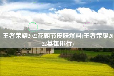 王者荣耀2022花朝节皮肤爆料(王者荣耀2022英雄排行)